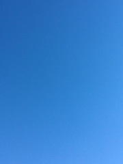 20130101-141204.jpg
